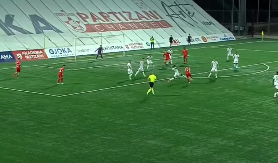 Partizani dinamo