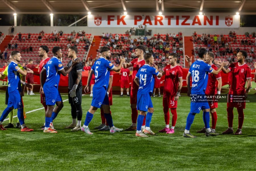 Vora partizani