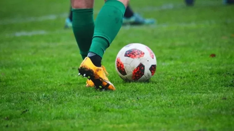 115216061-a7a550fa-10ee-42e1-a278-78c84436c9b1_sd (1)