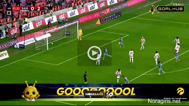 vlcsnap-2026-02-07-20h14m22s541