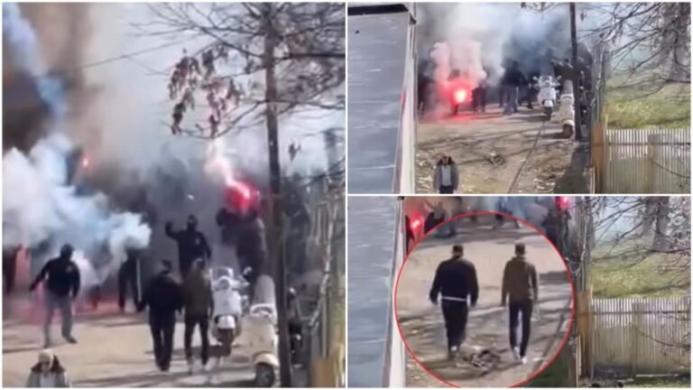 MixCollage-08-Mar-2026-04-01-PM-1046